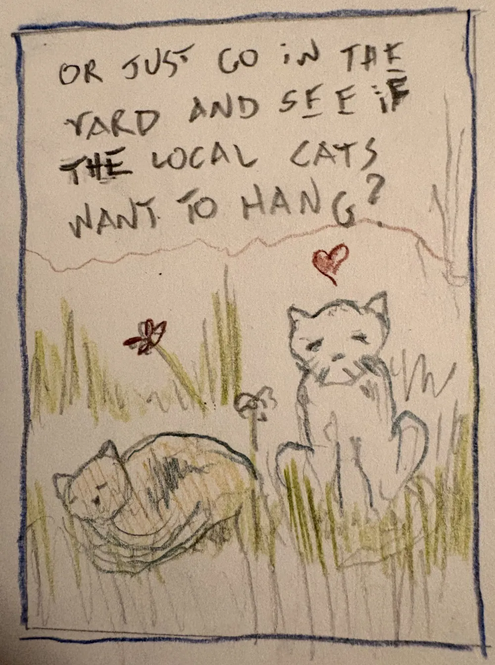 CARTOON (CATOON?): Two cute cats, sitting in the grass. Caption: OR JUST GO IN THE YARD AND SEE IF THE LOCAL CATS WANT TO HANG?