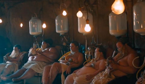 1436563047-milking